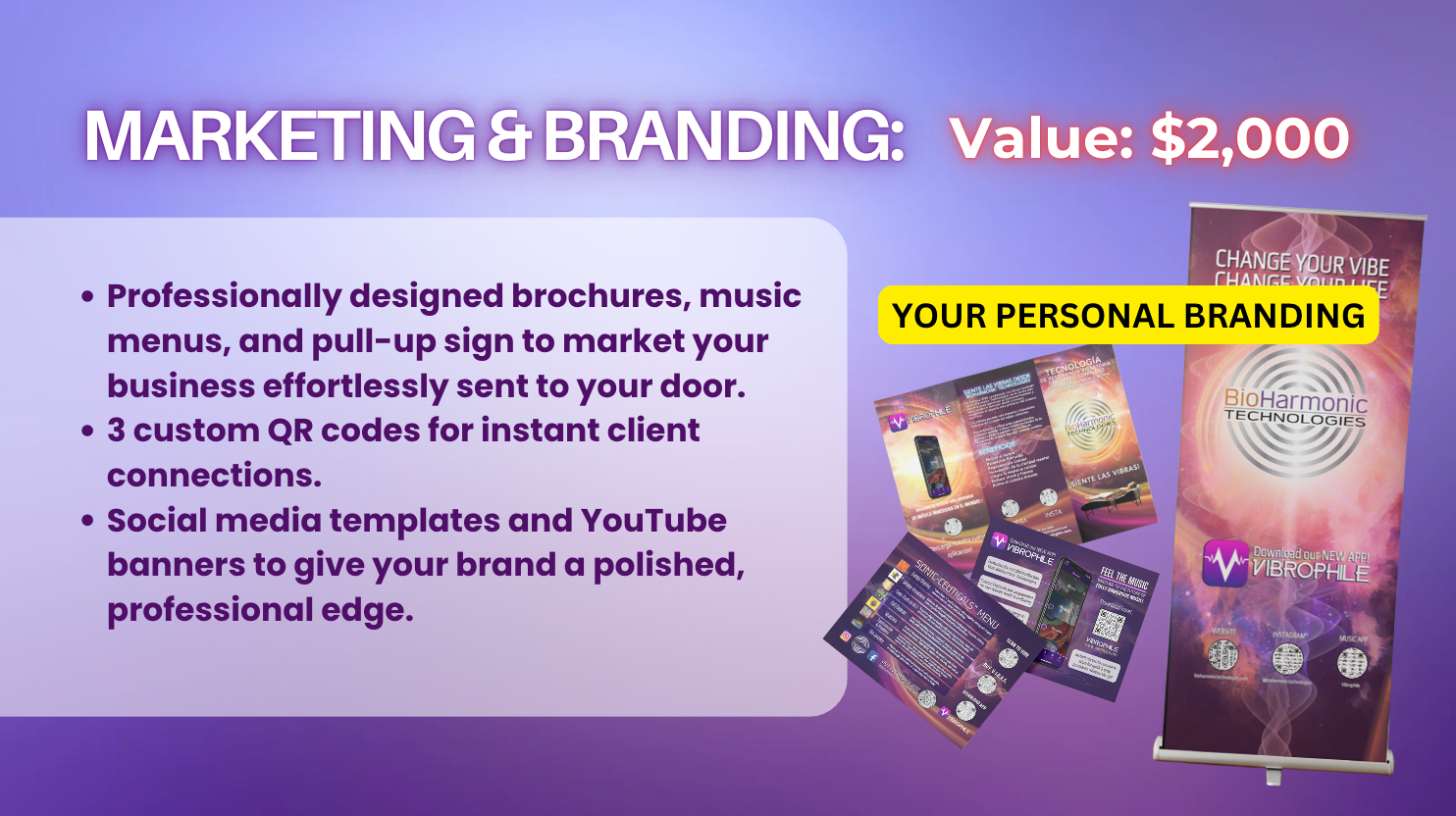 PACKAGE | VIBE PRO + START A BUSINESS WITH YOUR VIBE TRAINING