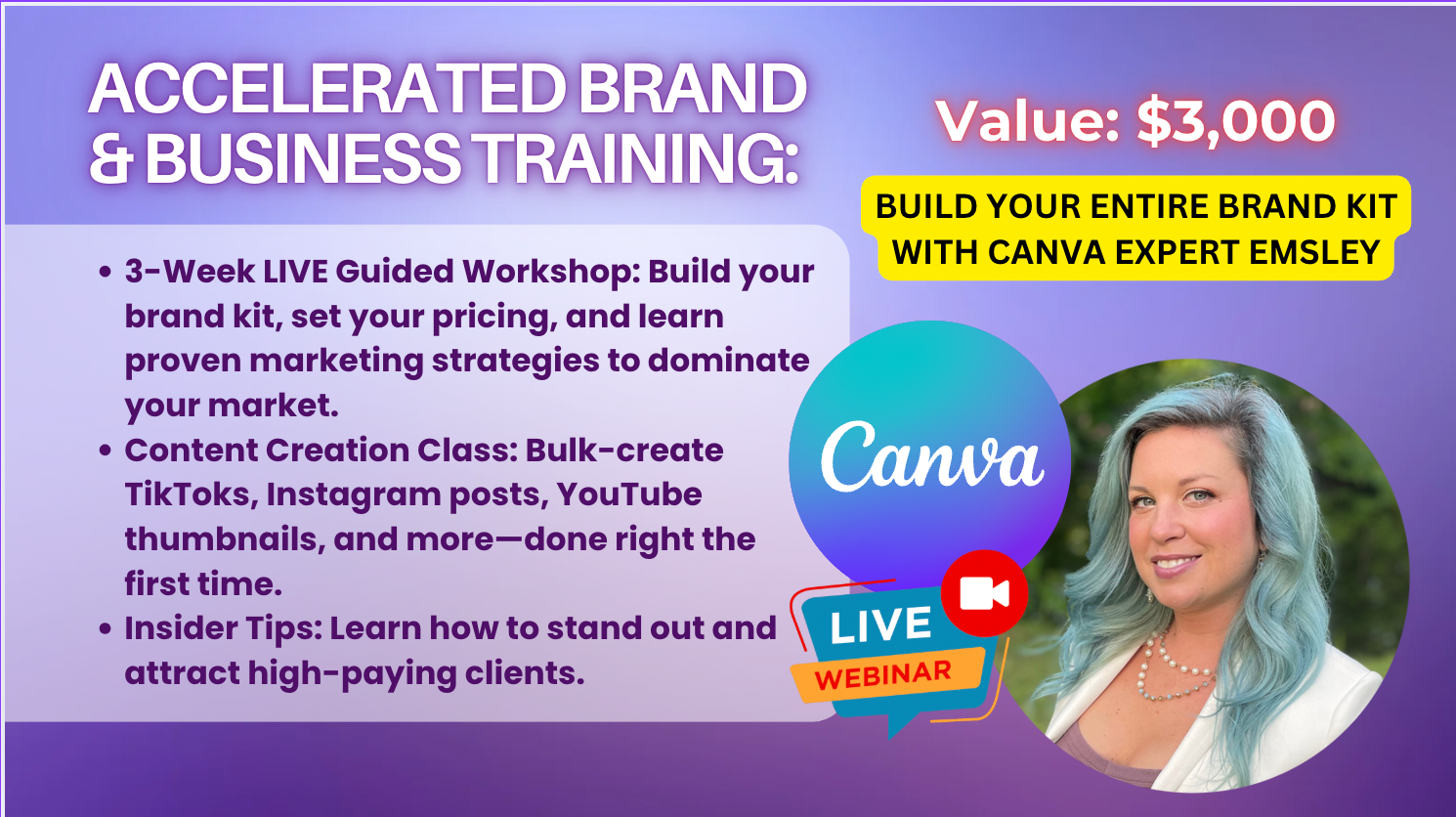 PACKAGE | VIBE PRO + START A BUSINESS WITH YOUR VIBE TRAINING
